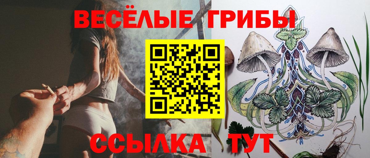 Псилоцибиновые грибы Cubensis Зеленокумск