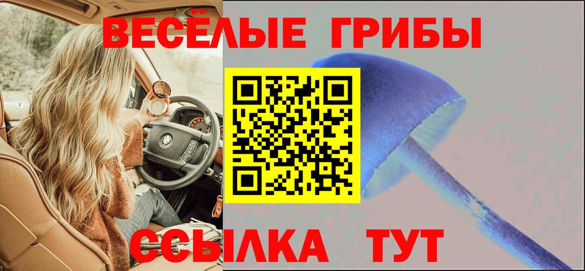 Зеленокумск  Псилоцибиновые грибы MAGIC MUSHROOMS  Вход с VPN  Псилоцибиновые грибы прущие грибы 